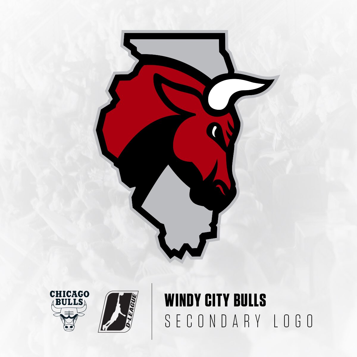 公牛公布其发展联盟附属球队队名