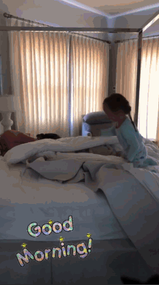 gif 3.1m