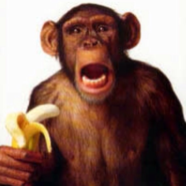 费尔南迪尼奥推特:#我们都是猴.