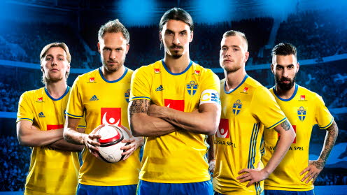 瑞典国家队欧洲杯大名单:伊布领衔_虎扑国际足