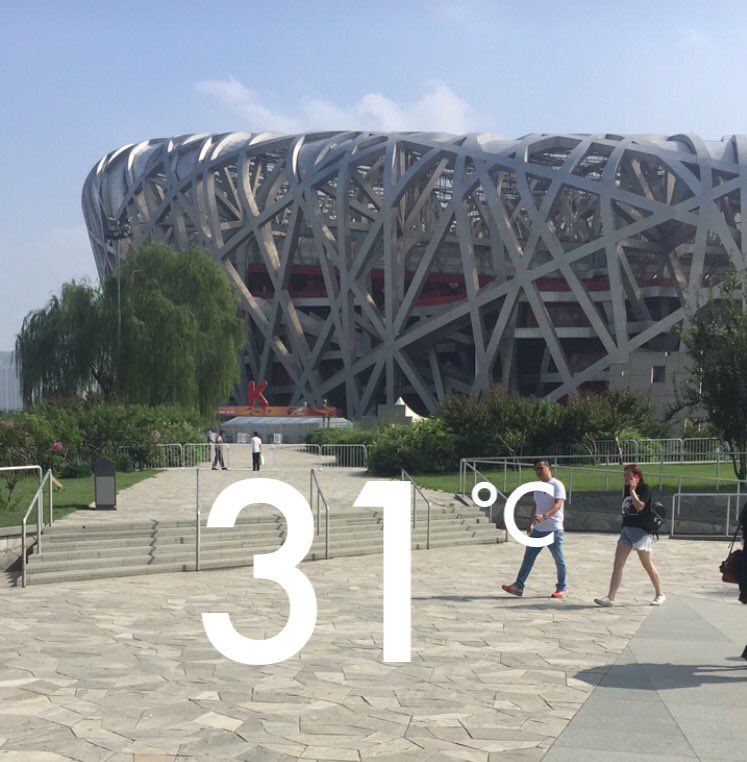 为何取消比赛？鸟巢的草皮现在长这样