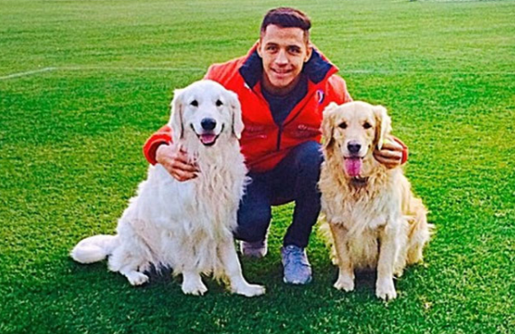 请问那些所谓的爱狗人士,你们在玉林买回去的几百条狗,你怎么处置呢?外面还有很多流浪狗,你也应该每天