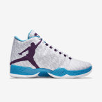 Air Jordan XX9