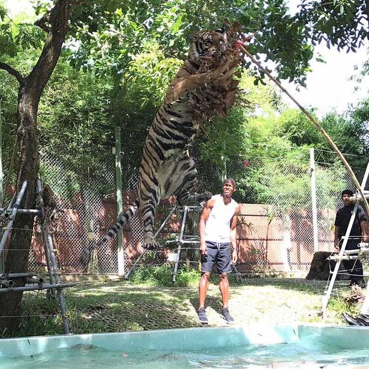 老虎屁股摸不得?雷-阿伦偏要试试看_虎扑NBA