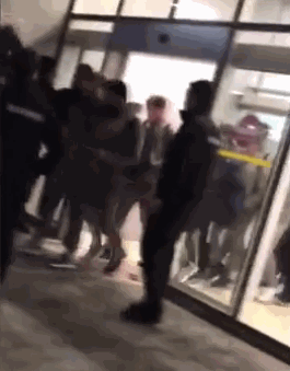 GIF 1.3M