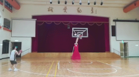 GIF 4.7M