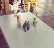 GIF 2.6M