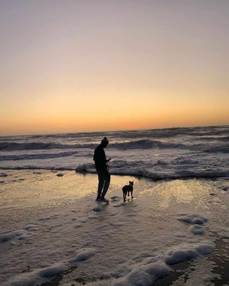 [流言板]带着狗子看海!拉塞尔更新社媒晒自己与爱犬的照片