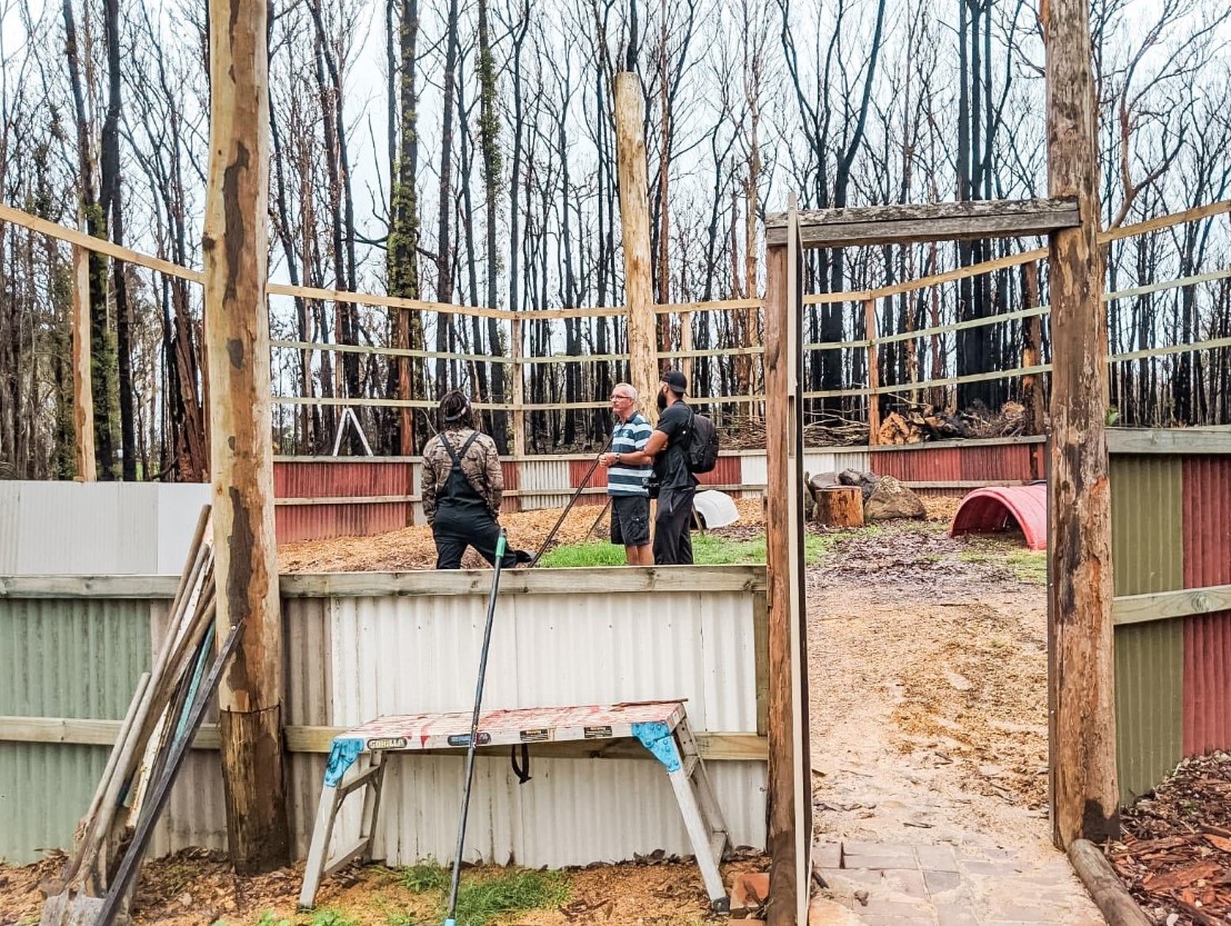 米爾斯介紹此前幫助建造的動物避難所：願動物早日回歸野外 運動 第2張