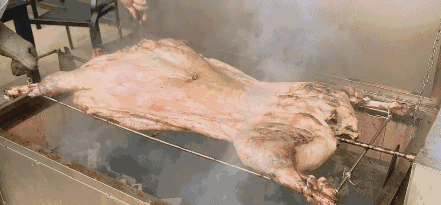 GIF 4M