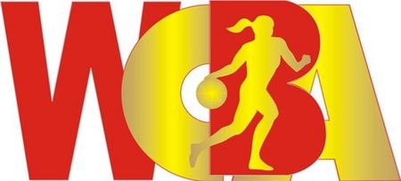 苗立杰老公_苗立杰 收入(3)