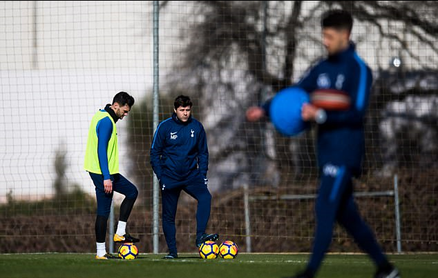 波切蒂诺：洛里缺阵，阿尔德韦雷尔德回归训练