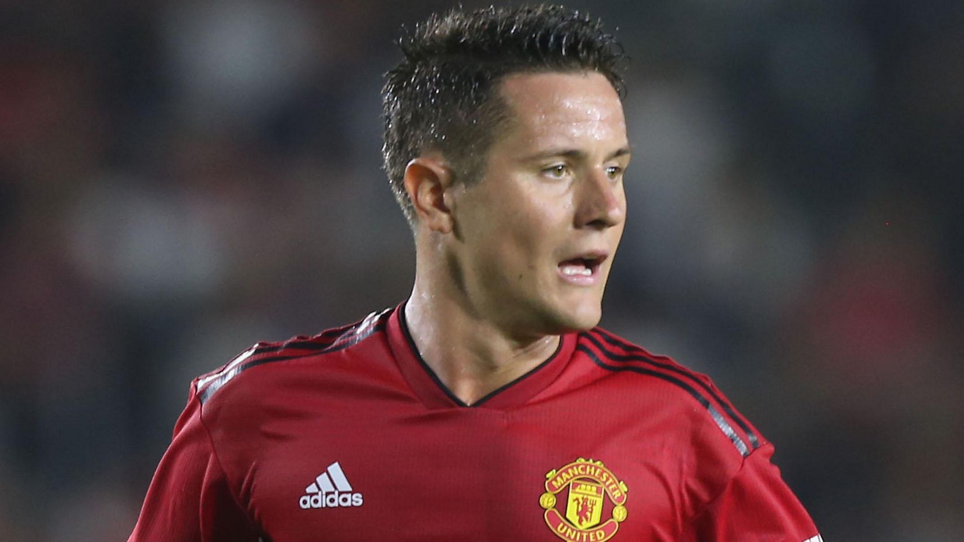 埃雷拉：我们唯一能做的事情就是向前看