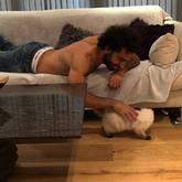 一图流：萨拉赫晒撸猫照，反被洛夫伦嘲笑头发