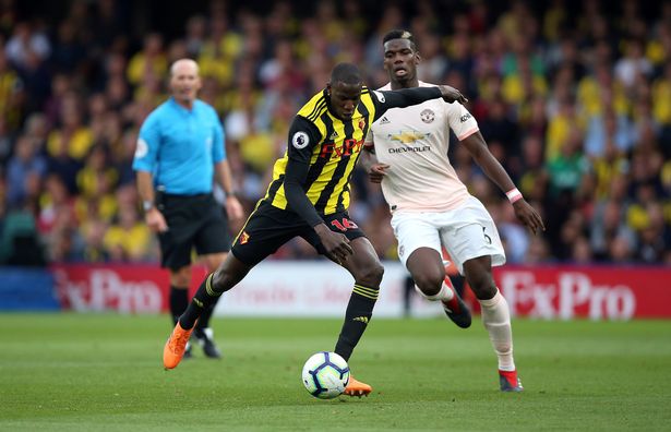 镜报：万亚马未来不明，热刺有意引进沃特福德中场杜库雷