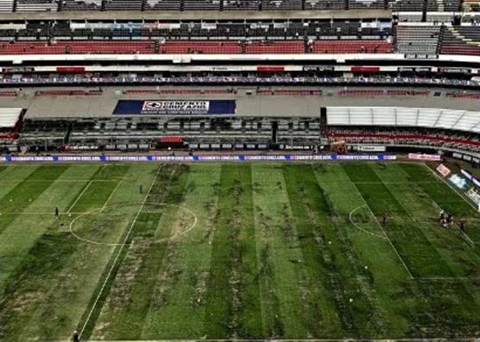 NFL计划继续在墨西哥举办比赛