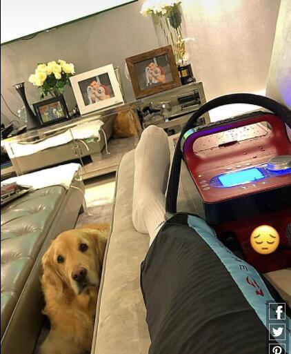 至少还有你，桑切斯秀养伤照其爱犬相伴