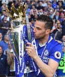 法布雷加斯：离开切尔西很伤感，我会怀念这里的所有人