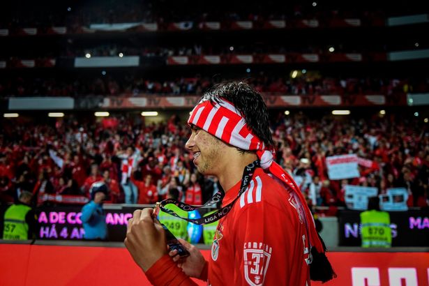 若成功引援，传曼城愿让费利克斯回租本菲卡一个赛季