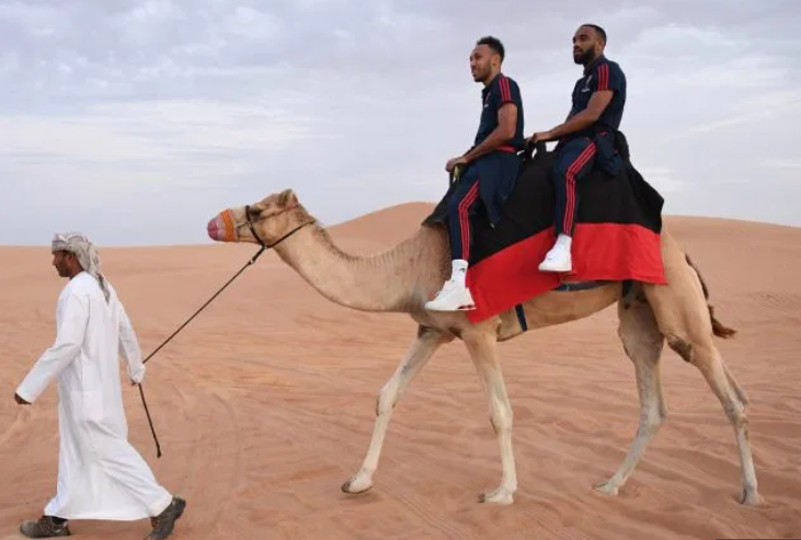 阿森纳官方晒双枪骑骆驼照片并配文：两个GOAT和一只骆驼