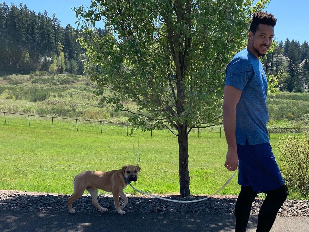 闲庭信步！CJ-麦科勒姆Ins晒遛狗照片：今日最精彩的时刻