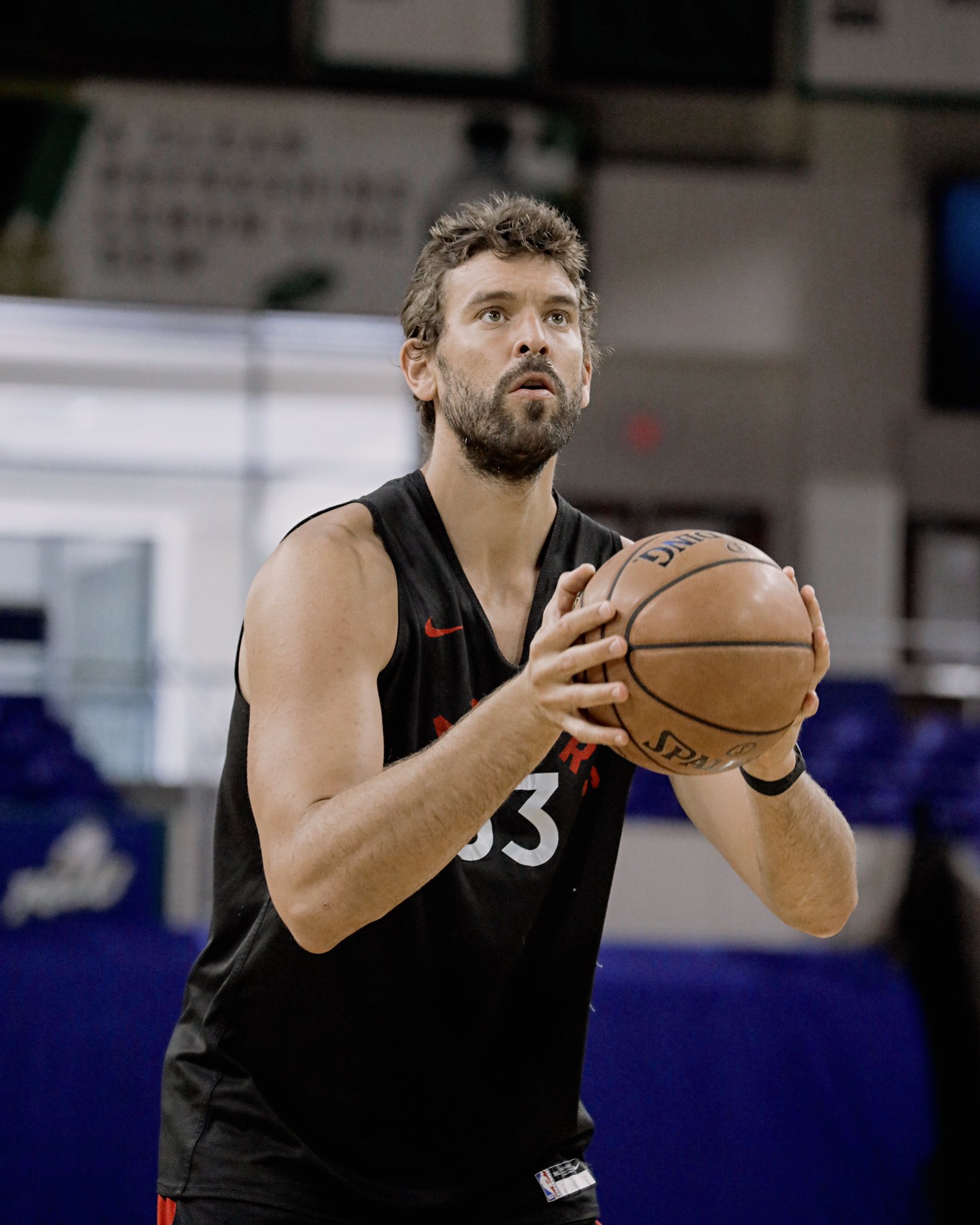 猛龙晒出小加索尔、斯坦利-约翰逊和麦考的训练照